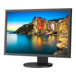 NEC MultiSync P243W: Guide d'utilisation + IA |
