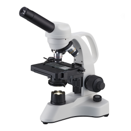 Biorit TP Microscope