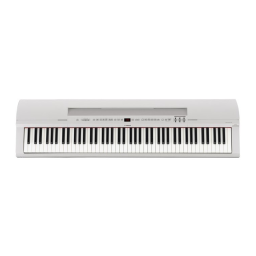 P 255 Instruments MIDI: Chat IA & Téléchargement PDF | Fixfr