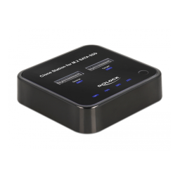 Delock 63334 Station d'accueil SSD : AI Chat & PDF | Fixfr
