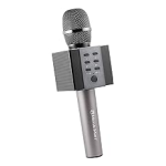 MusicMan BT-X45 Karaoke Microphone Elegance gold Manuel du propri&eacute;taire