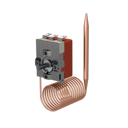 JUMO heatTHERM P100: Fiche Technique + Chat IA | Fixfr