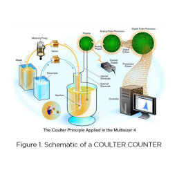 Beckman Coulter Important Notes Mode d'emploi | Fixfr