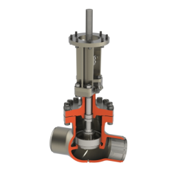 Raimondi Globe Valve Bolted Bonnet IOM Manuel du propriétaire | Fixfr