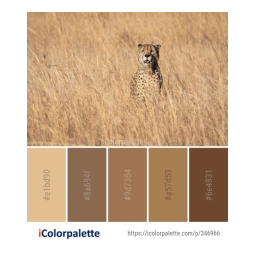 72276, 72277 Lampes : Manuel d'utilisation | AI Chat | Fixfr