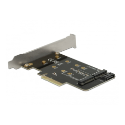 Delock 89558 Carte PCI Express + AI Chat & PDF | Fixfr