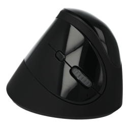 DeLOCK 12599 Ergonomic USB Mouse vertical - wireless Fiche technique | Fixfr