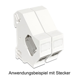 DeLOCK 86212 Keystone Mounting for DIN rail Fiche technique | Fixfr