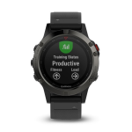 Garmin Fenix 5 Manuel utilisateur