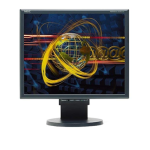 NEC MultiSync&reg; LCD1970V Manuel utilisateur