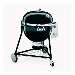 Summit Charcoal Grill