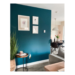 Colours Idea Suspension : Manuel d'utilisation + IA | Fixfr