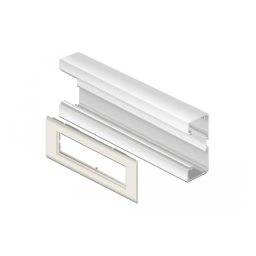 DeLOCK 81317 Easy 45 Module Holder for installation trunking 175 x 80 mm Fiche technique | Fixfr