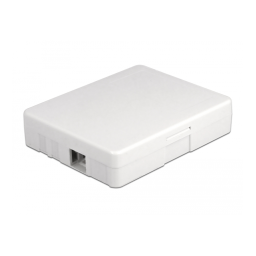DeLOCK 86842 Optical Fiber Connection Box for wall mounting for 2 x SC Simplex or LC Duplex white  Fiche technique | Fixfr