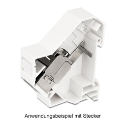 DeLOCK 86232 Keystone Mounting for DIN rail Fiche technique | Fixfr