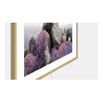 Samsung The Frame QE50LS03A 2021 TV QLED Product fiche