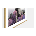 Samsung The Frame 50LS03A : AI Chat &amp; PDF Access