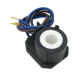 Riello R40 FSP20 1/230/50 Manuel utilisateur | Fixfr