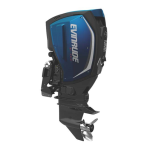 Evinrude AGG EV G2 225 Manuel du propri&eacute;taire