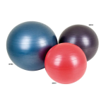 Kompernass KH 4216 GYM BALL Manuel utilisateur