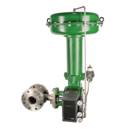 Fisher V500 Vanne Rotative : Manuel IA & PDF | Fixfr