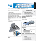 Bendix Basic BB200 Garnitures: AI Chat &amp; PDF