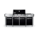 Weber Summit Grill Center LP Manuel utilisateur