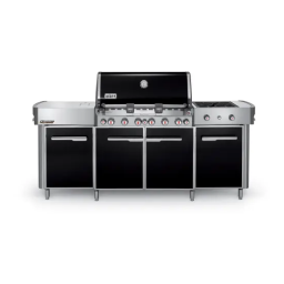 Summit Grill Center Trim Kit: Chat IA & PDF | Fixfr