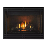 Heatilator Caliber Gas Fireplace Installation manuel
