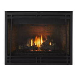 Heatilator Caliber Gas Fireplace Installation manuel | Fixfr