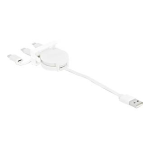 Delock Easy 45 Module USB 2.0: Chat IA &amp; PDF