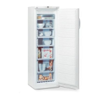 Miostar MSGN 213 A Freezer Manuel utilisateur