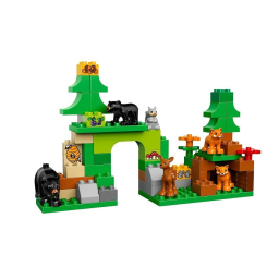 10584 Duplo