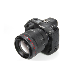 RF 85mm F1.2L USM DS