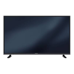 Grundig 49 VLX 7980: Manuel d'utilisateur + Chat IA