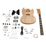 Harley Benton Electric Guitar Kit DC Style Mode d'emploi