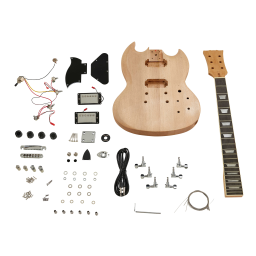 Harley Benton Electric Guitar Kit DC Style Mode d'emploi | Fixfr