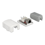 DeLOCK 86196 Network Wall Outlet 1 Port Cat.6A LSA Fiche technique