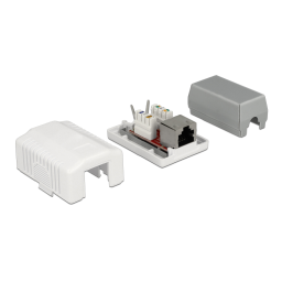 DeLOCK 86196 Network Wall Outlet 1 Port Cat.6A LSA Fiche technique | Fixfr