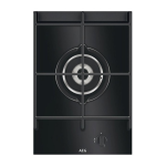 AEG HC411521 Notice d'utilisation | AI Chat &amp; PDF