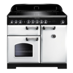 Falcon Classic Deluxe 100 Mixte: AI Chat &amp; PDF