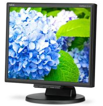 Eizo FLEXSCAN L375 Manuel utilisateur | Fixfr