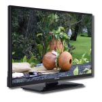TV num&eacute;rique plate Hitachi: Chat IA &amp; PDF