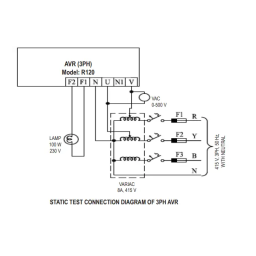 Leroy-Somer R121 Analog AVR Manuel utilisateur | Fixfr