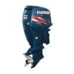 Evinrude EV 65 Commercial 2010 Manuel du propri&eacute;taire