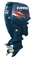 Evinrude EV 65 Commercial 2009 Manuel du propriétaire | Fixfr