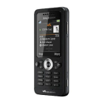Sony Ericsson W302 Manuel du propri&eacute;taire