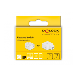 DeLOCK 87791 Keystone Module USB Type-A Charging Port 2.1 A white Fiche technique | Fixfr