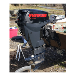 Guide Evinrude MFE 30 CH avec IA Chat & PDF | Fixfr