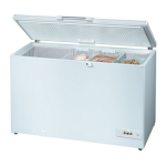 Bosch GTM30A00GB Freezer Manuel utilisateur